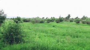 ПРирода. Река.