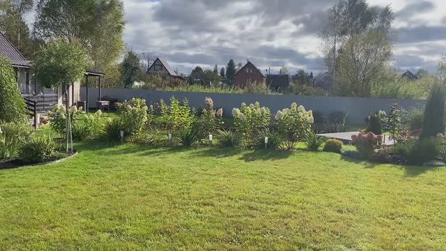 В деревню на дачуСад перед заморозками28сентября2025саддачадеревнярозыцветы