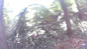 "Земное притяжение" 2025. класс бронза. 1 место