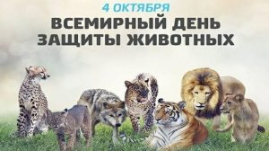 04.10.25 - Всемирный День защиты животных