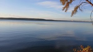 Гуляем в лесу! Только природа! Тишина!