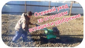 Осенний уход за огородом: вспашка и удобрение