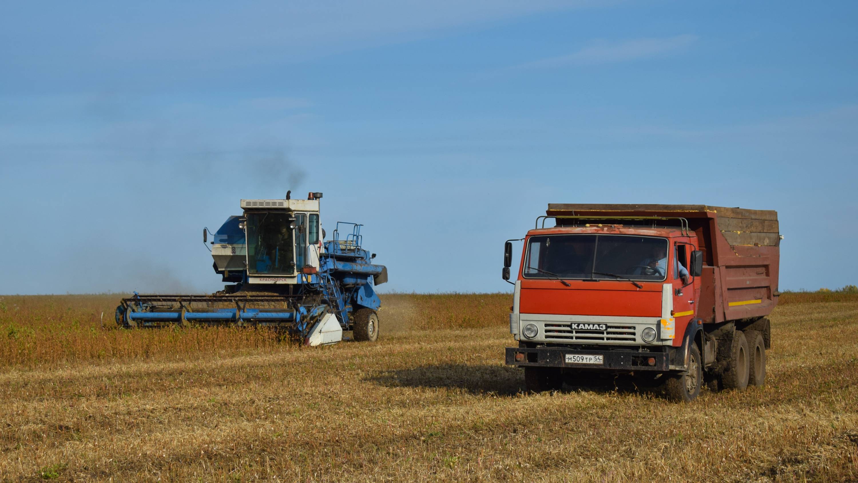 Уборочная-2023. Работа комбайнов Енисей-950 и Енисей-1200-1НМ на обмолоте сои.