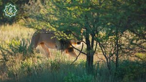 Джавид Касимов - О людях и животных. Поэзия об Исламе. Октябрь 2025.