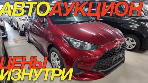 ЯПОНЦЫ ПОПАЛИ! СКОРО УТИЛЬ СБОР TOYOTA CH-R COROLLA TOURING YARIS WISH SPADE MAZDA AXELA
