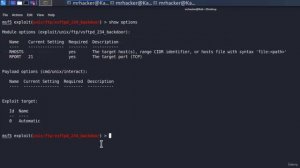 48. Наш первый эксплойт — эксплойт vsftp 2 3 4