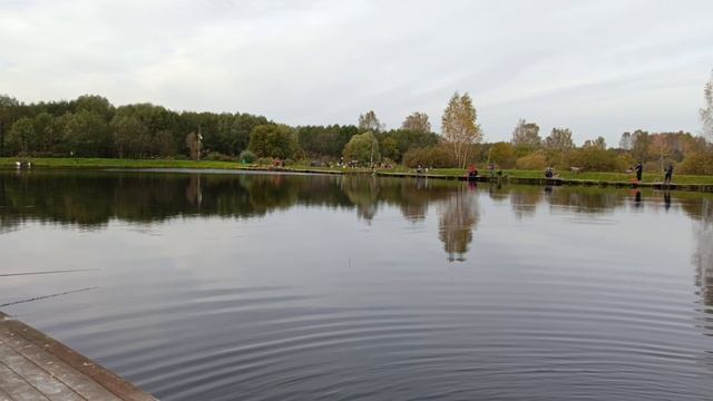 зарыбление форели,форелевая рыбалка РК 