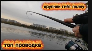 СПИНИНГ ОСЕНЬ МИКРОДЖИГ ТРОФЕИ