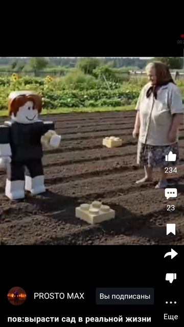 пов:вырасти сад в реальной жизни