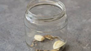 Капуста кольраби на зиму