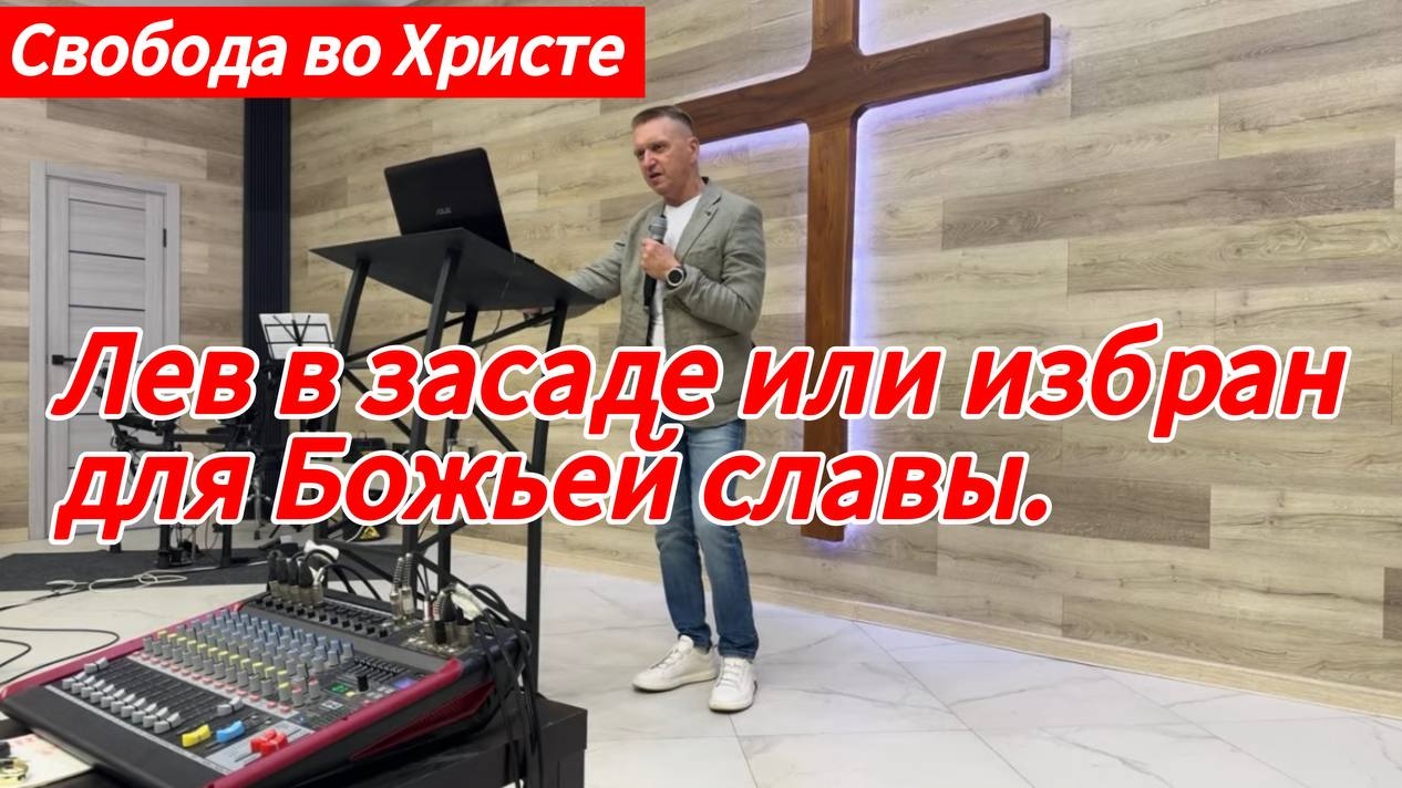 Лев в засаде или избран для Божьей славы. Олег Мамонтов, г. Краснодар.