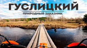 Секретное место в Подмосковье | Нашли идеальный Тур-эндуро маршрут.