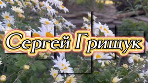 Волшебство мгновения. Сергей Грищук, красивая инструментальная музыка