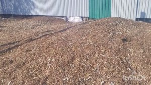 Прогулка По Селу Нялинское