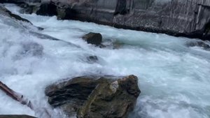 VID_20241016_162705_198.mp4