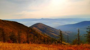 #СевернаяКрака #Подкова