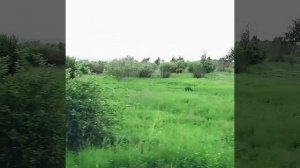 ПРирода недалеко от города.