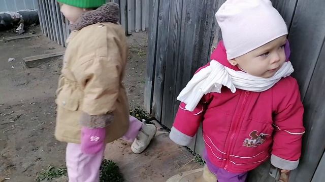 Бабка грении