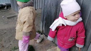 Бабка грении