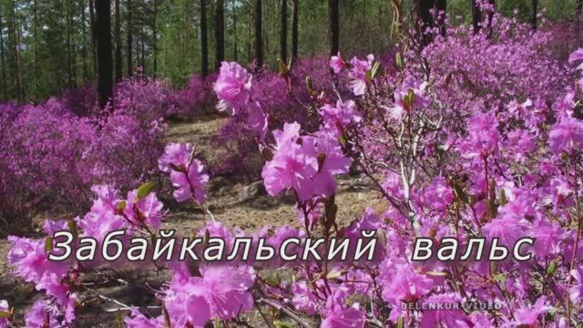 Забайкальский вальс