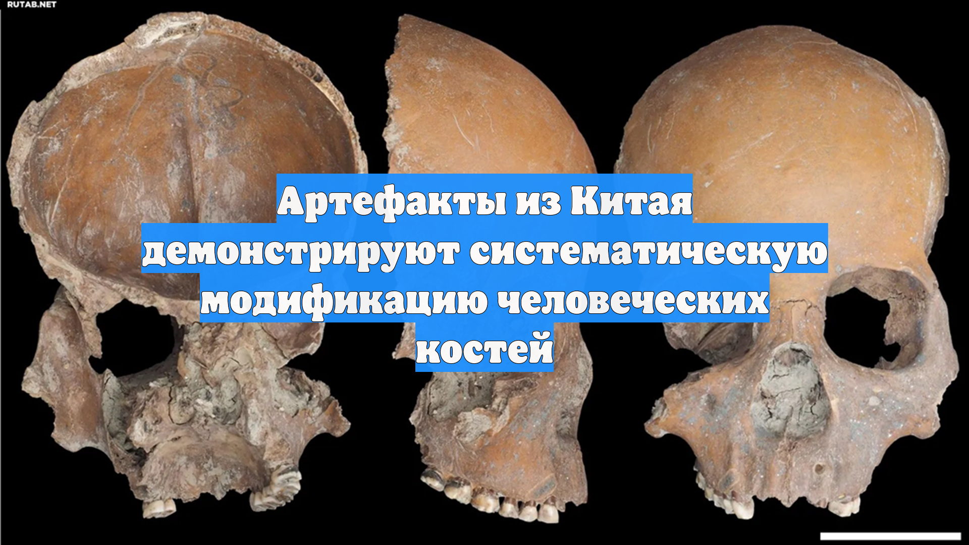 Артефакты из Китая демонстрируют систематическую модификацию человеческих костей