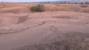 охота на дичь?! 🤔