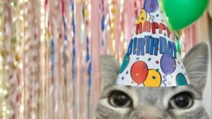 У меня 4 октября день рождения (сегодня) 😀