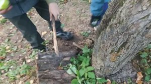 99 ночей в лесу в реальной жизни 1 часть.