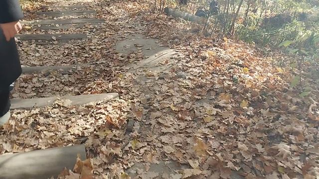 дорога на солдатское озеро город Пенза