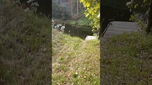 Дом с баней и земельным участком в 30 минутах от Санкт-Петербурга