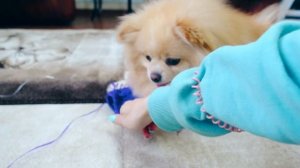 КИСА БАТТЕРС ГУЛЯЕТ по СНЕГУ | ЗНАКОМСТВО с  Птичкой СИНИЧКОЙ