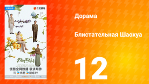 Блистательная Шаохуа 12 серия
