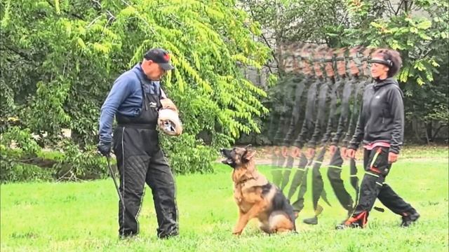 Баларис ЧУДЬ, 2 года. Продолжаем учиться!