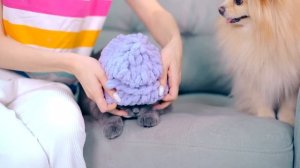 ДЕЛАЮ ШАПОЧКИ ДЛЯ КОТИКА И ПЁСИКА | БАЛАКЛАВА ДЛЯ КИСЫ И СОБАЧКИ - ОДЕЖДА ДЛЯ ПИТОМЦЕВ