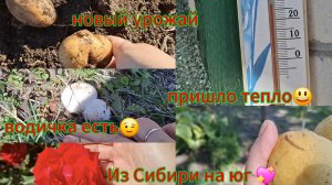 04-10-2025 Переезд из Сибири на юг 💖,/Купили дом на юге ☀️ Наслаждаемся южной жизнью /Южные хлопоты