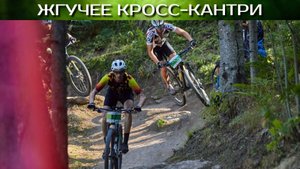 ХСО Белокуриха 2025 кросс-кантри
