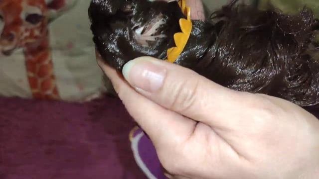 Царевна Соня 15 см первая будет три приехала малышка в наше куклосемейство.