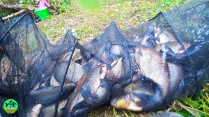 ВСЕХ ЛЕЩЕЙ СОБРАЛ В ЭТОЙ РЕКЕ! СЕКРЕТ ПРОСТОЙ. ФИДЕР против ФЛЭТА. Закормочный кораблик TROPY LINE.