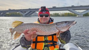 Охота на осеннего хищника. Клязьминское водохранилище. 04.10.25. 💪🎣☀️