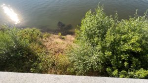 Волга катастрофически мелеет, Астрахань