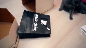 КАЖДАЯ КОШКА ТАКАЯ