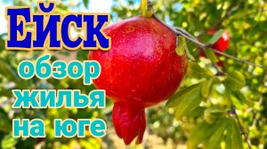 Ейск♥️Обзор жилья на юге. Ремонт в частном доме. Куры в огороде.