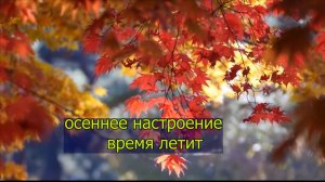 04.10 работа в теплице // осенняя хандра // вес стоит на месте // скоро юбилей // право на мечту