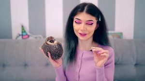 10 ФАКТОВ О КАРЛИКОВОМ АФРИКАНСКОМ ЁЖИКЕ БРУНО