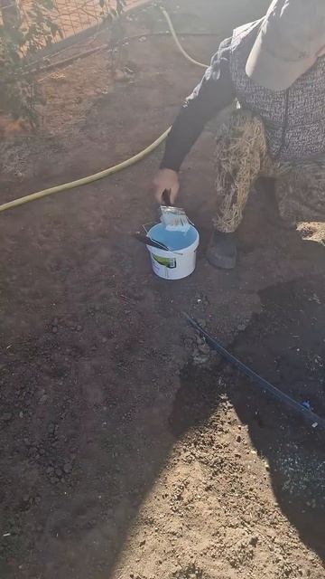 4 октября 2025 г. смотреть онлайн