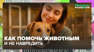 С какими заболеваниями сталкиваются собаки осенью | Миллион вопросов — Москва 24