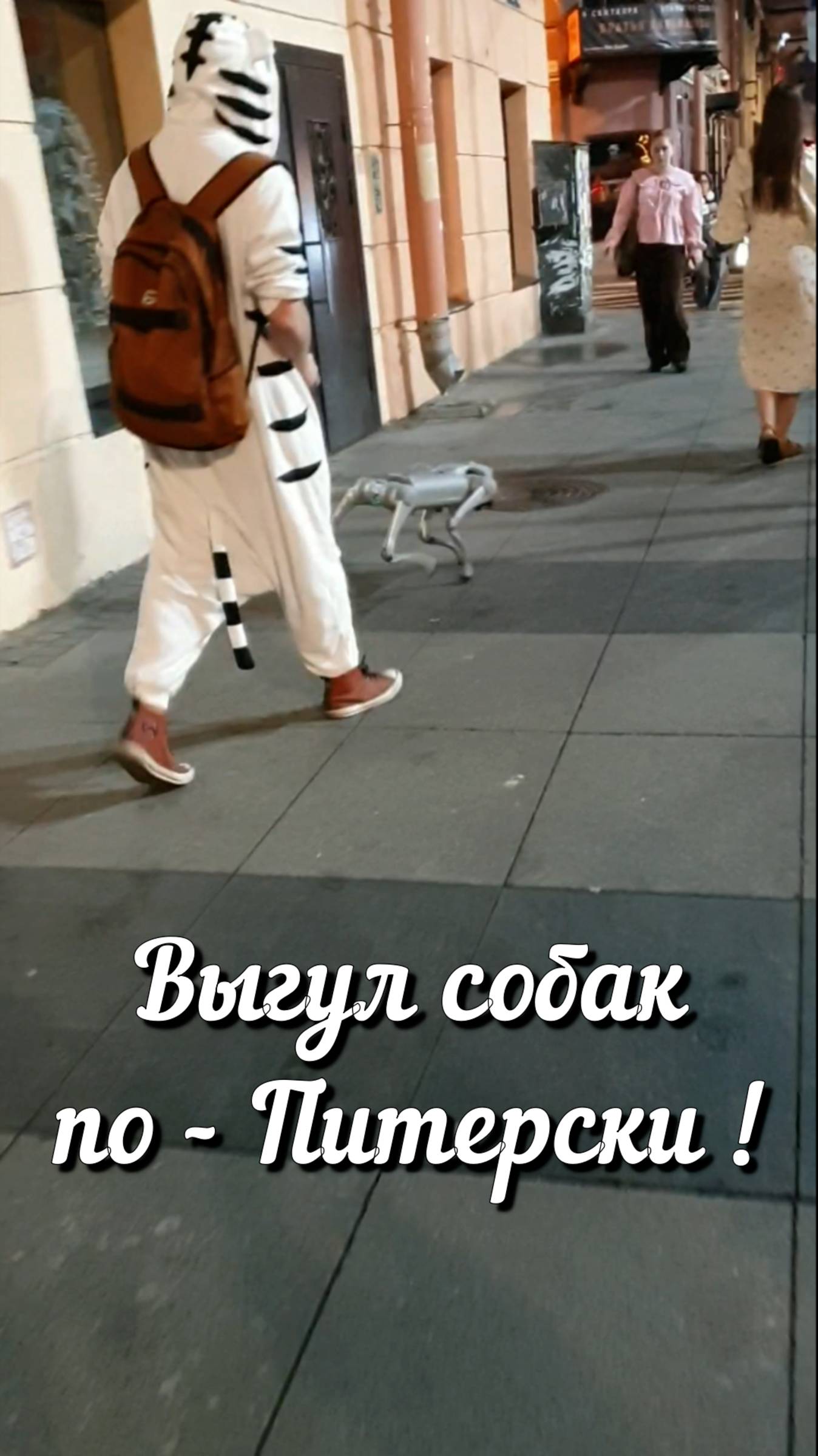 Собаковод из будущего! смотреть онлайн