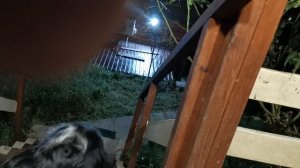 СОЧИ ГОРНОЕ ЛОО УТРО 04.10.2025