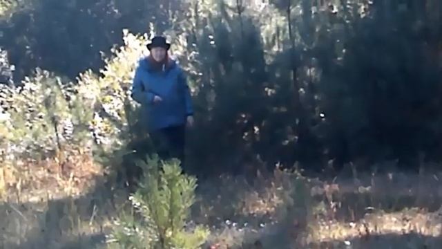 Любимая женщина - Автор и музыка Александр Вестов поёт Белое Золото смотреть онлайн