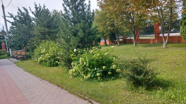 Собор Всех Святых в городе Домодедово (31.08.25)
